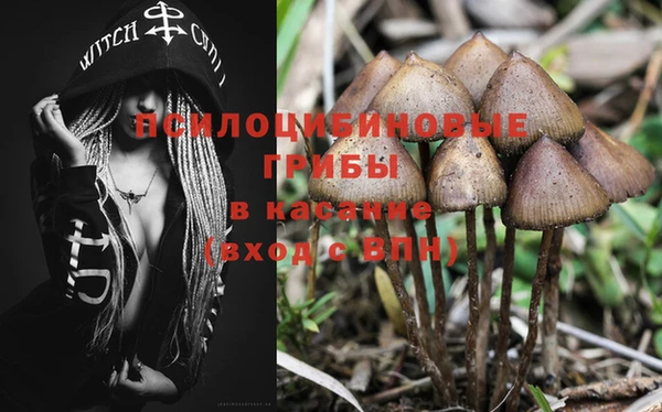 спайс Козловка