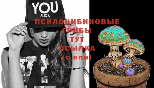 гашик Кодинск