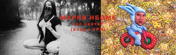 гашик Кодинск