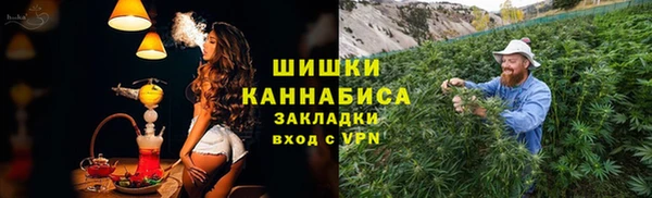 гашик Кодинск