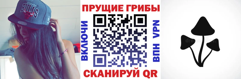 Псилоцибиновые грибы Psilocybe  Купить где  Катав-Ивановск 